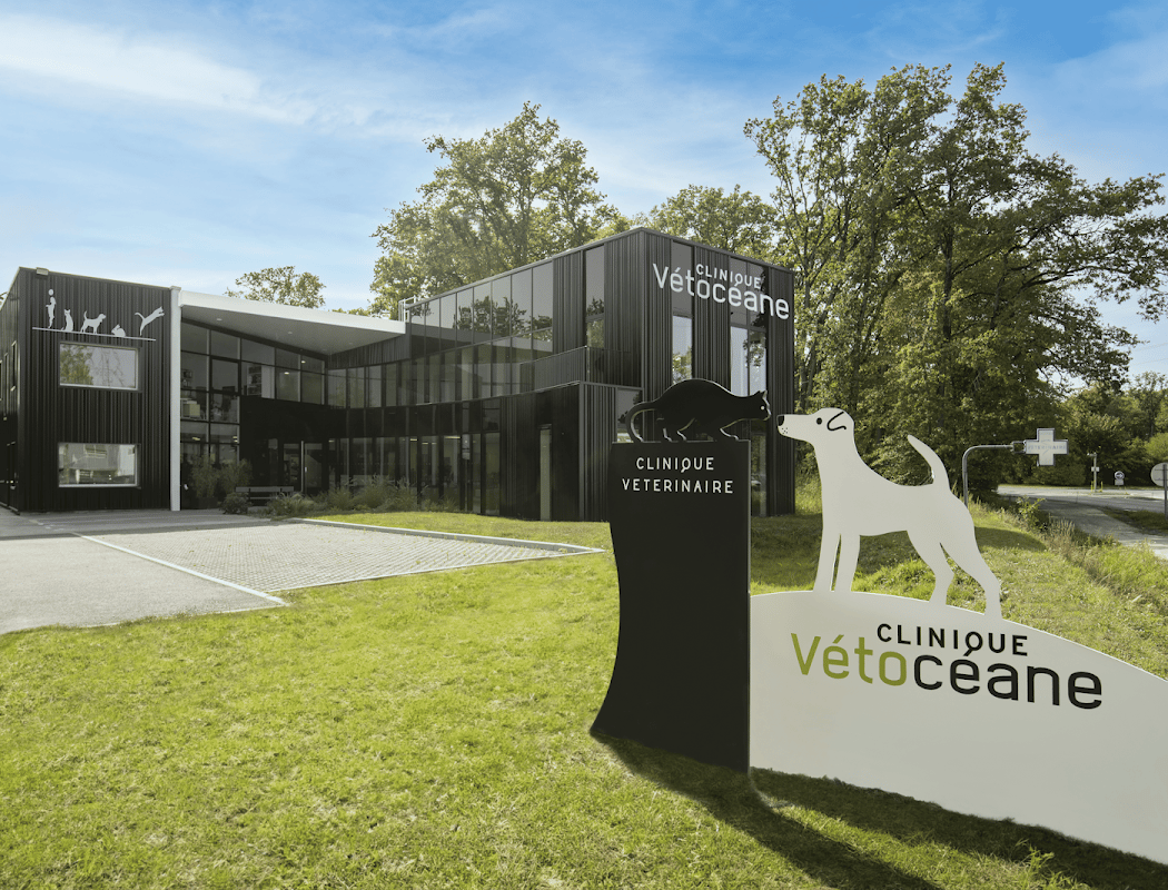 Clinique Vétocéane 1